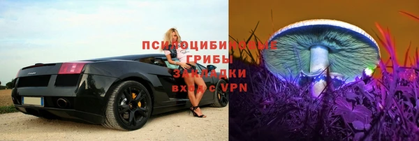гидра Покачи