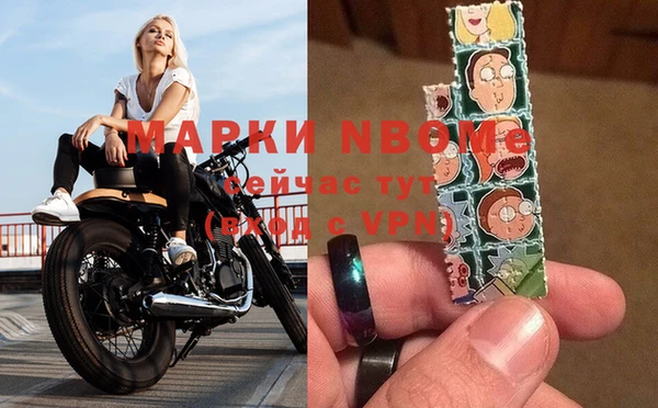 гидра Покачи