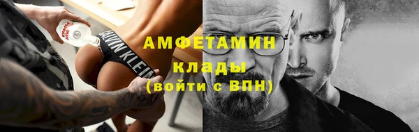 гидра Покачи