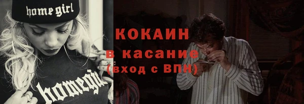 гидра Покачи