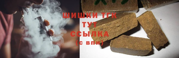гидра Покачи