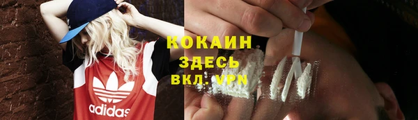 гидра Покачи