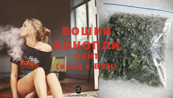 гидра Покачи