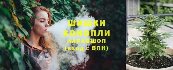 гидра Покачи