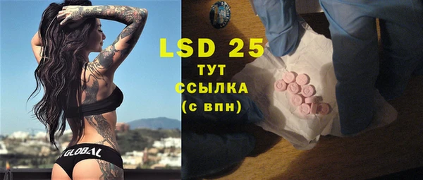 гидра Покачи