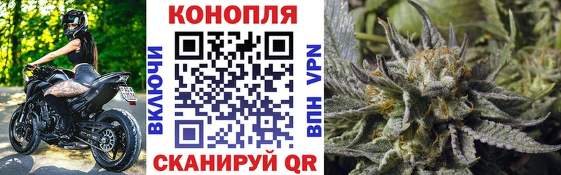 Каннабис план  как найти наркотики  Углегорск 